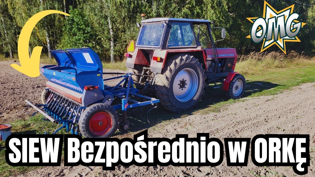 JEST MOC !!! URSUS C 385 DAJE RADĘ | SIEW PSZENICY AGREGATEM BEZPOŚREDNIO W ORANE POLE