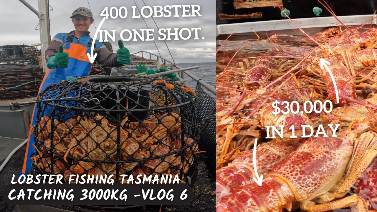 Ep-6. $30,000 of LOBSTER in 1 day, our best day FISHING! Catching 3000kg of Rock Lobster.