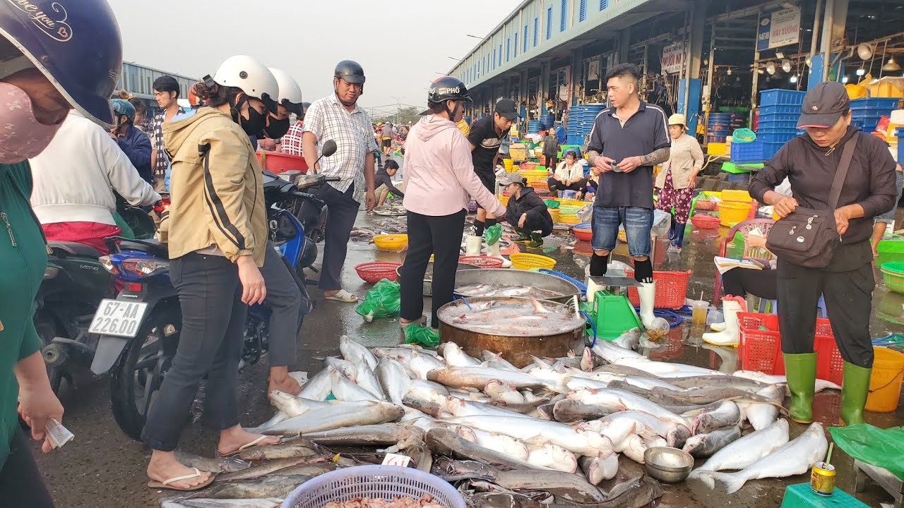 Chợ đầu mối bình điền sáng thứ năm cá bông lao 85k cá linh 50k cá rô bí 20k 