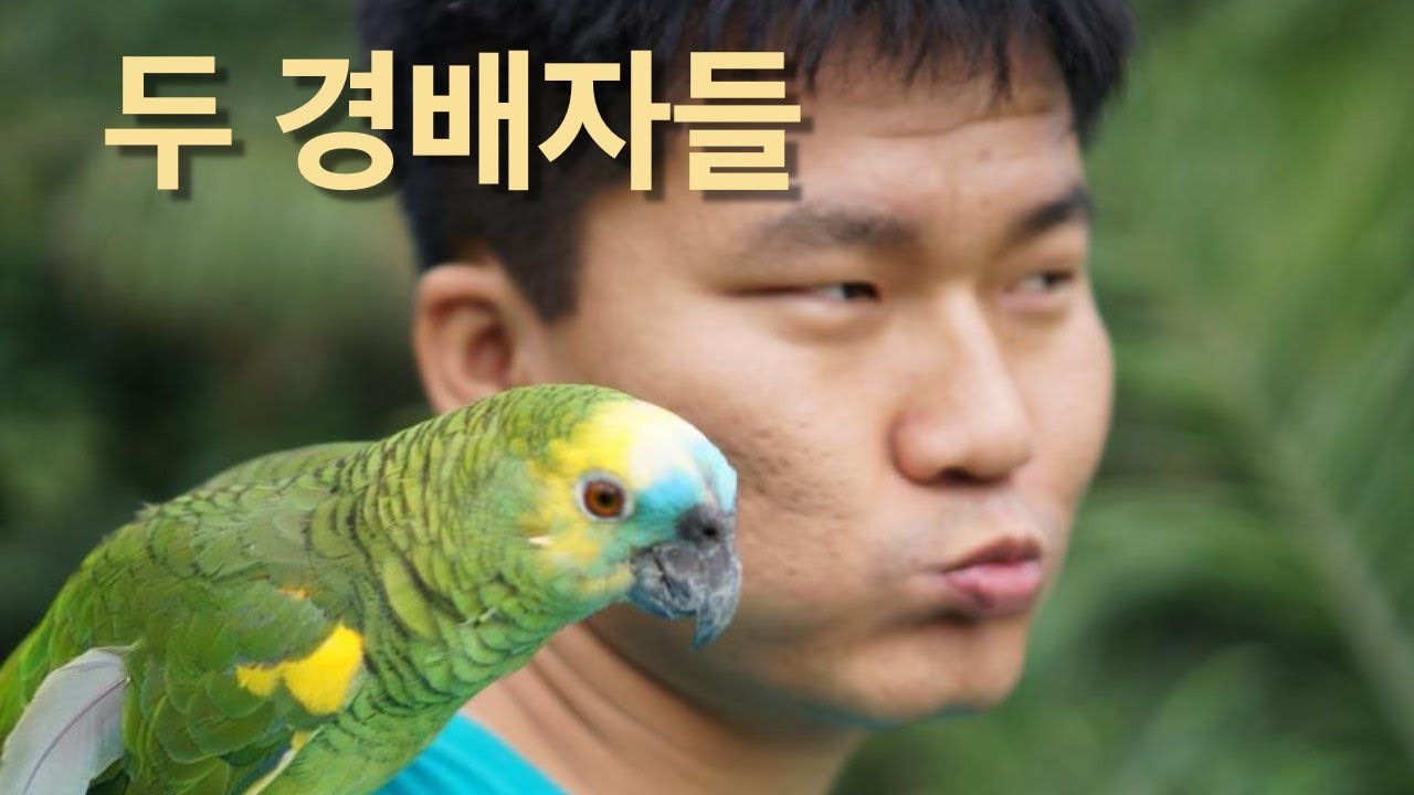 두 경배자