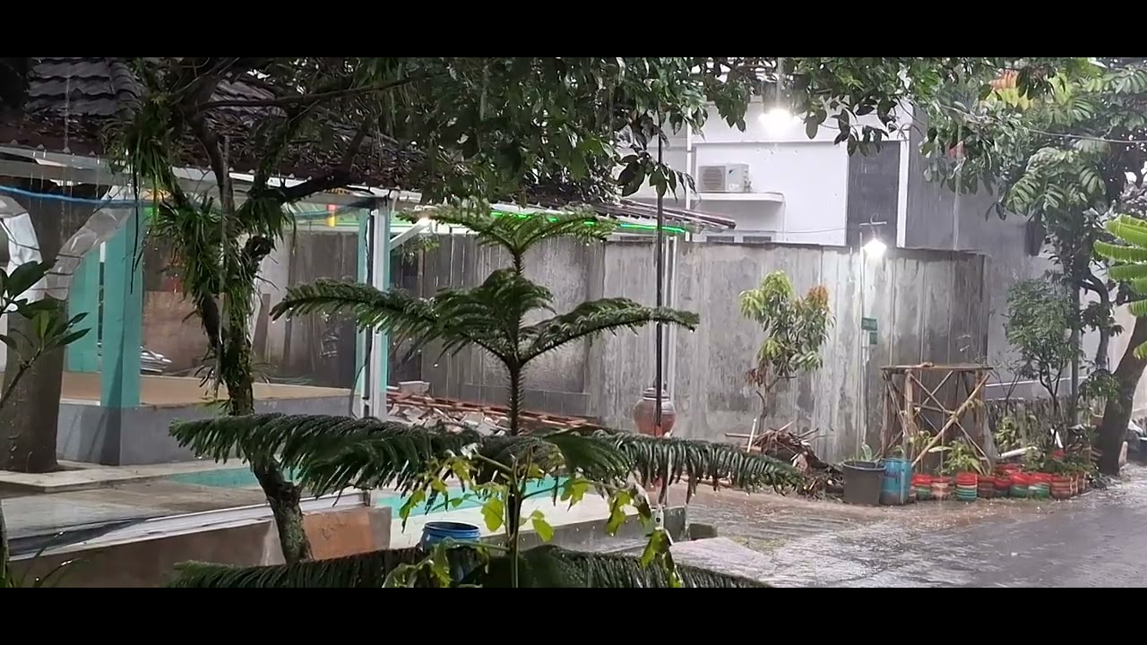 Hujan sore hari 💙💚🩵( relaxation )