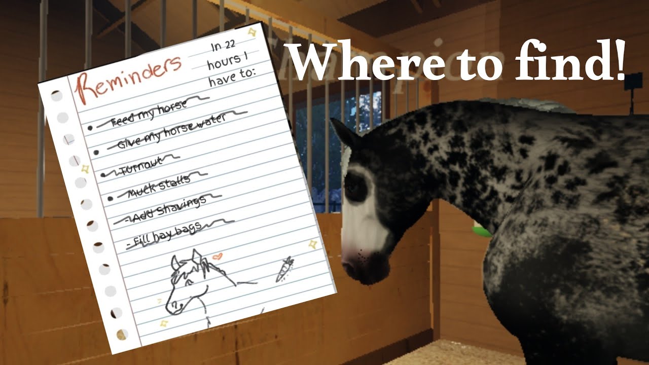 Where to find the daily tasks items in EQuest: Testing 