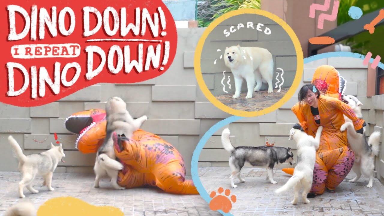 DINOSAUR PRANK TO MY DOGS GONE WRONG!! (HINDI NA AKO UULIT!)