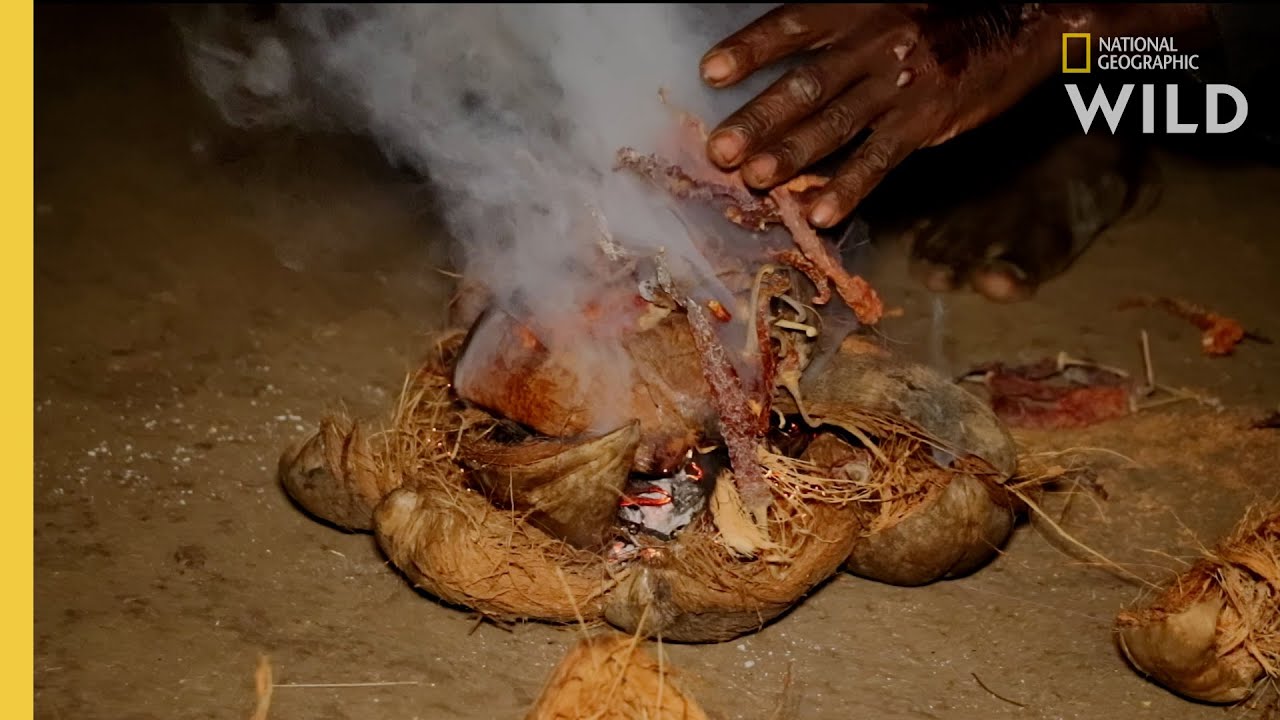 Living With Elephants | Nat Geo WILD