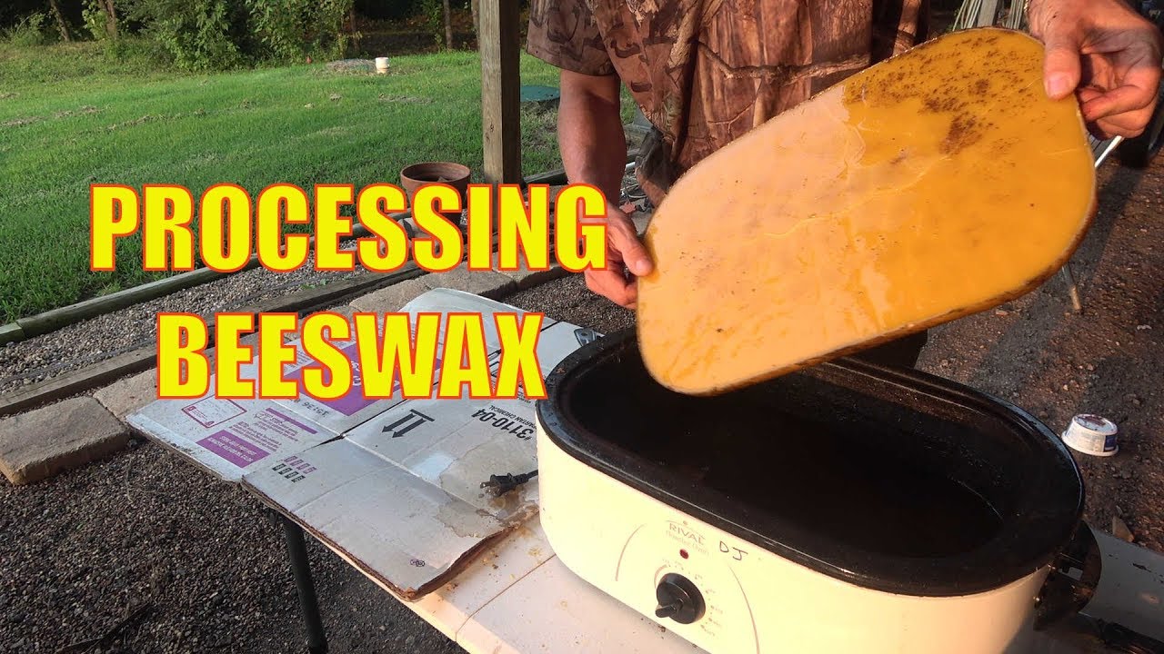 Melting and Processing Beeswax from Bee Hive Comb.  #beekeeping #beeswax