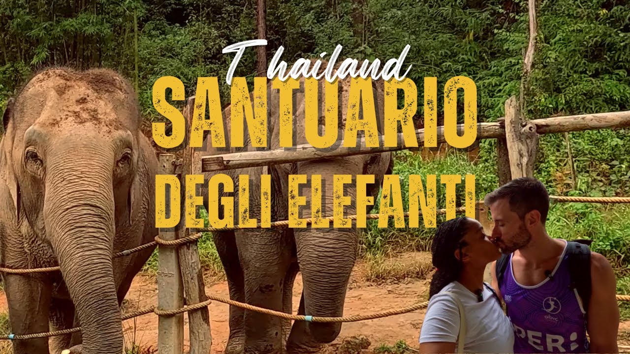 Santuari degli elefanti a Chiang Mai: Le cose che devi sapere per evitare un santuario NON etico