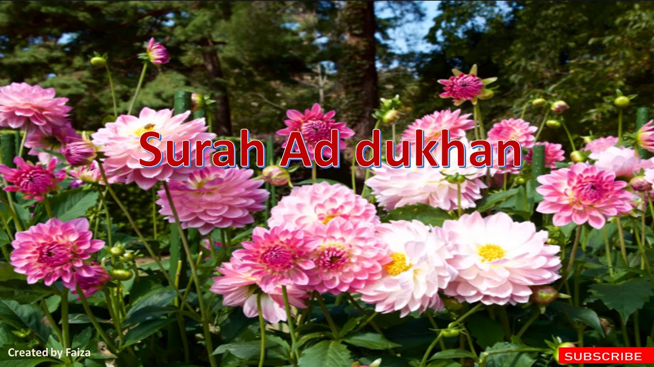 surah ad dukhan x 5 times