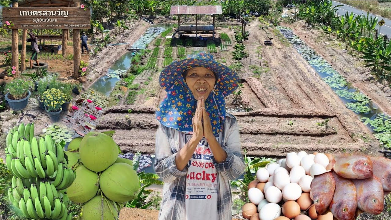 สุดยอดคุณยายวัย 60 ปีทำเกษตร พื้นที่ 12 ไร่ มีรายได้ทุกวัน!! มีคลังอาหารที่ยั่งยืน มีความสุข