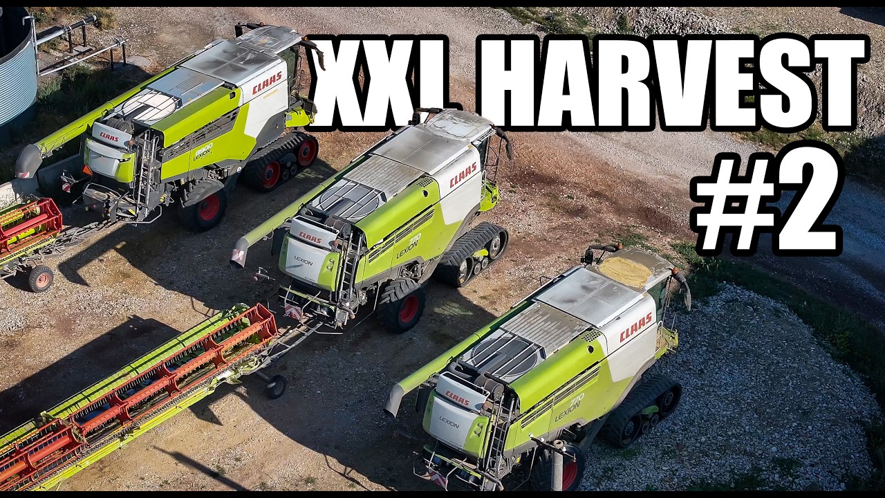 🇷🇺 XXL ЖАТВА 2025 #2 [ Lexion из ПОЛЬШИ =Claas Lexion 8900TT & LEXION 770TT 2x 13,8м ] РЕАЛЬНЫЙ ЗВУК