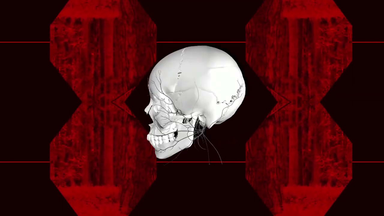 Yoshua E.m: Bham Bham Bhole 2021 Stream/ Visuals: VJ Vortex