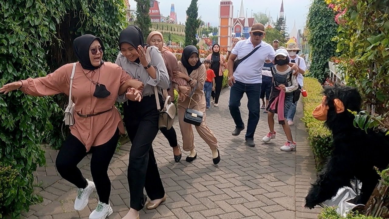 TENDA BAHAGIA || MONKEY PRANK