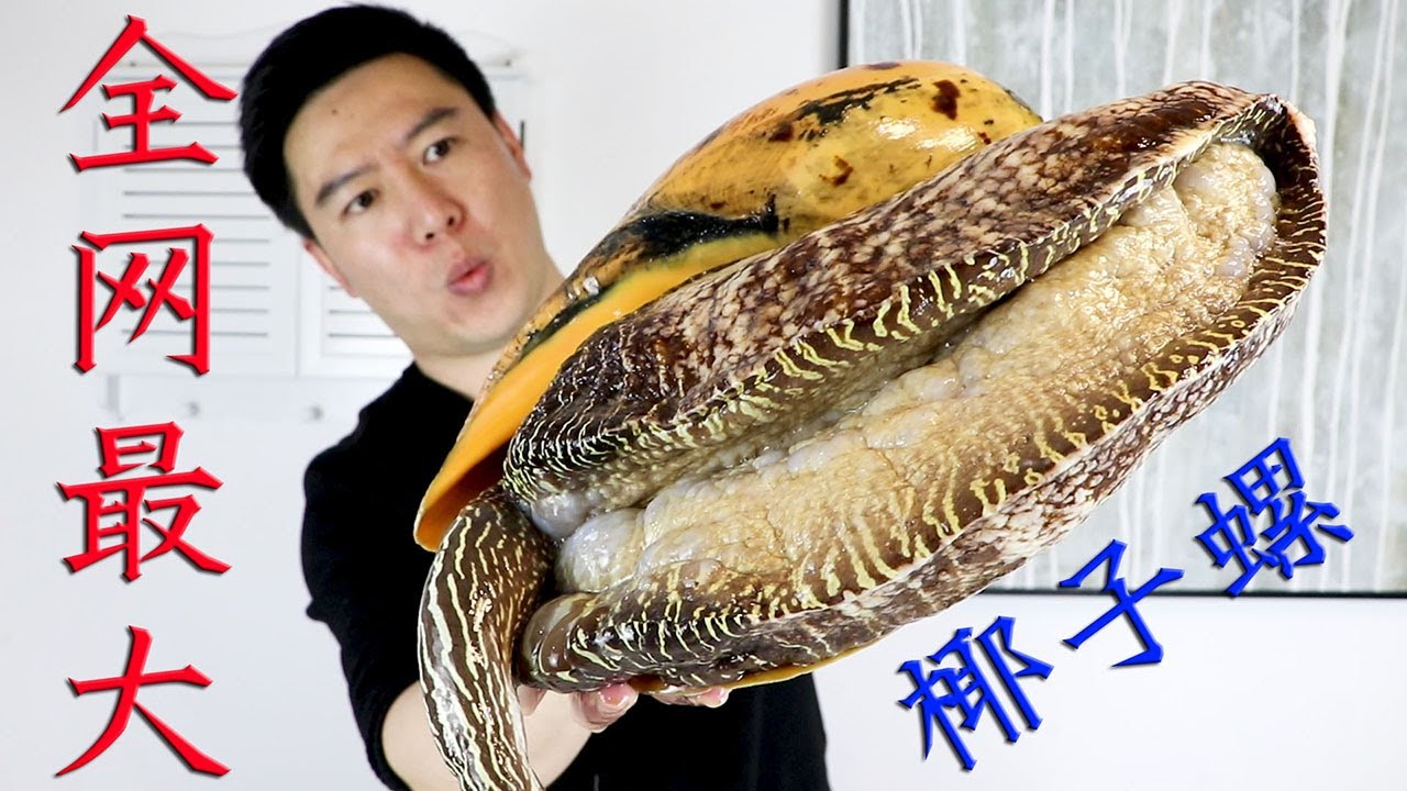 1000买23斤的全网最大椰子螺，美乐珠没挖到，挖到了一堆寄生虫！亏大了！【小文哥吃吃吃】