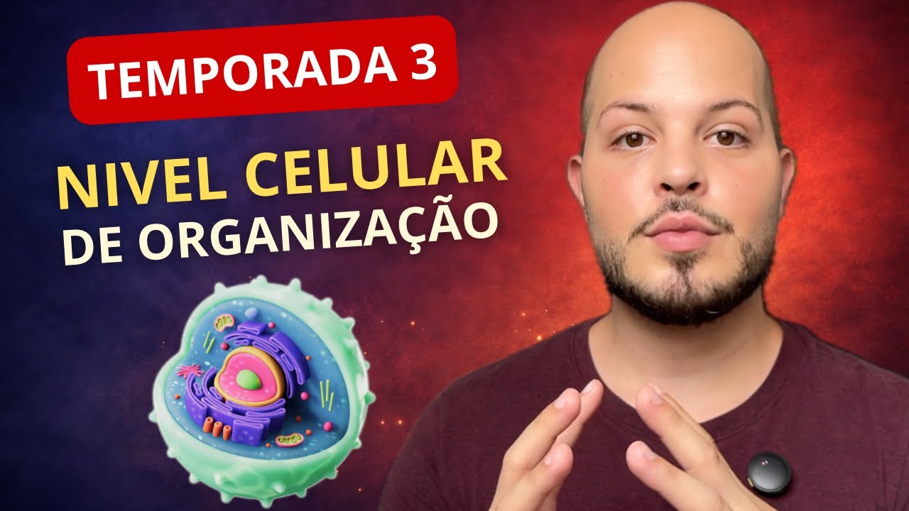 ANATOMIA TODO DIA: Nível Celular de Organização do Corpo Humano