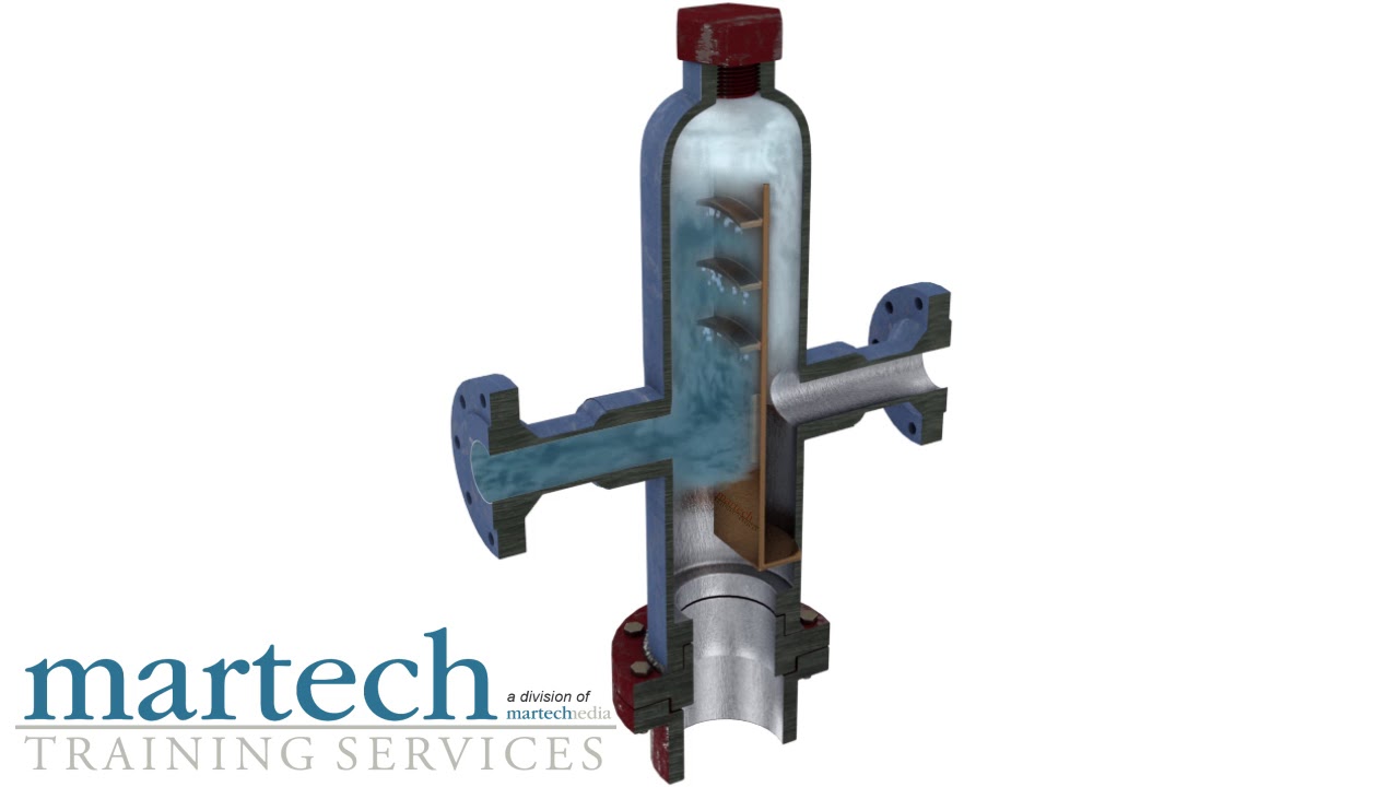 Vertical Steam Separator