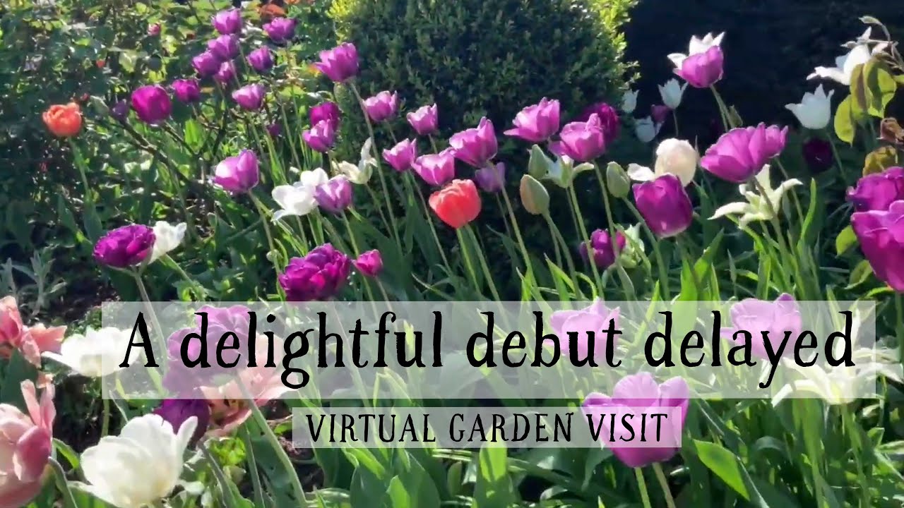 Westwood House, a delightful debut delayed