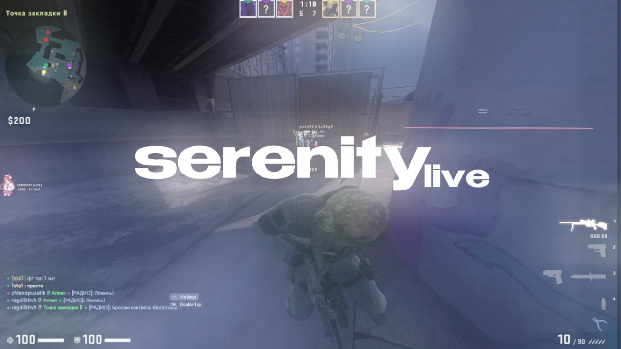 🌺serenity.live | n3v3rlose hvh highlights