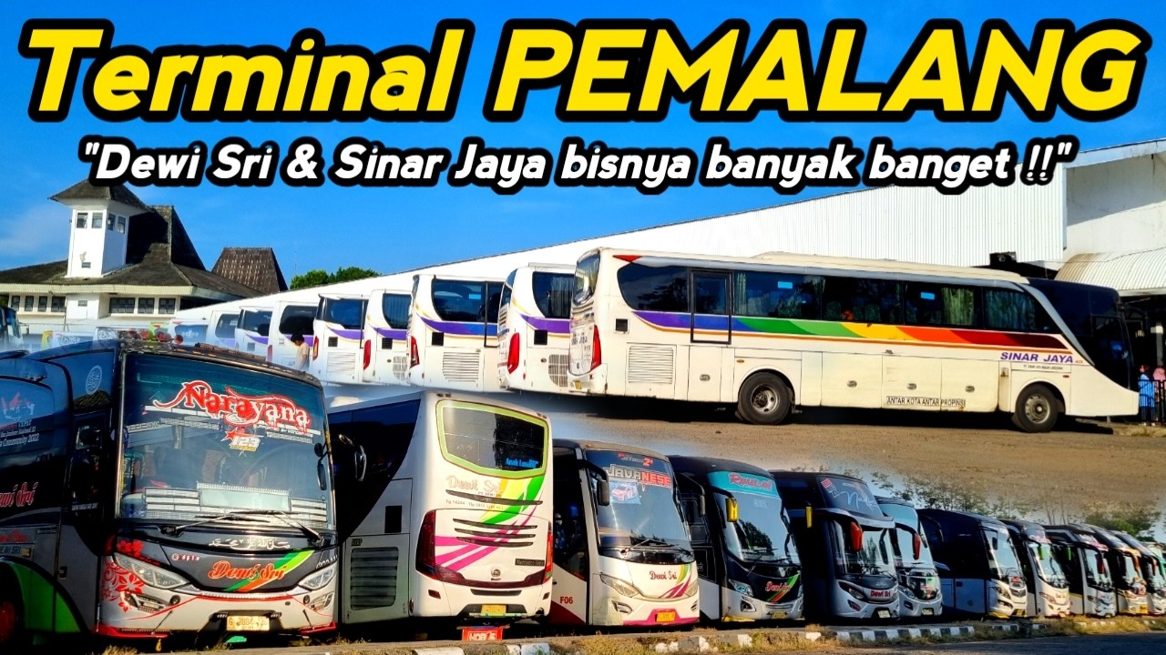 DEWI SRI & SINAR JAYA PALING MENDOMINSI DI TERMINAL INDUK KOTA PEMALANG !!!