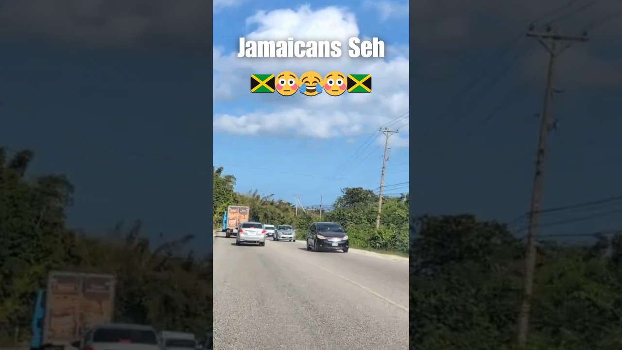 Jamaicans Worldwide: How Does It Feel To Return To Jamaica 🇯🇲👍 #jamaicanculture #reggae #jamaica