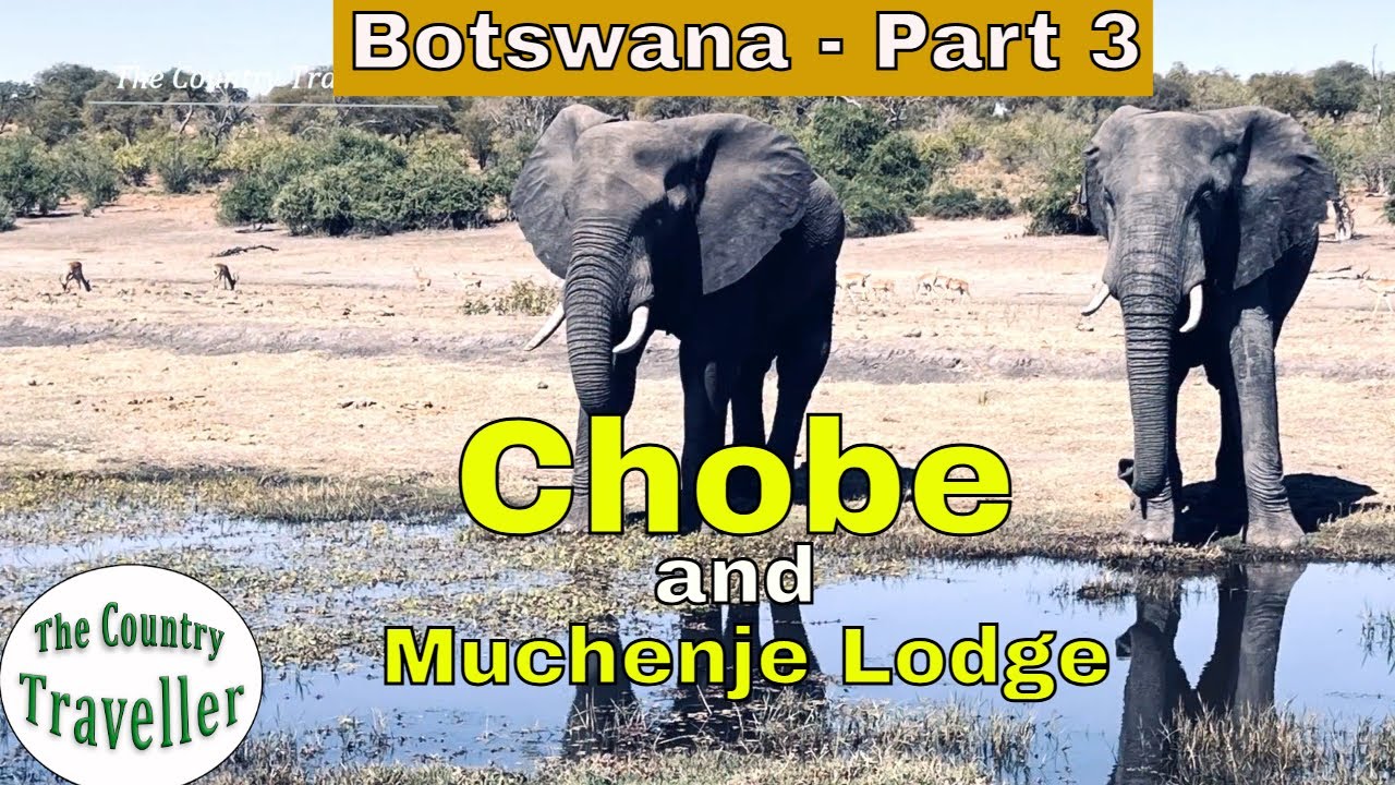 Wildlife in Chobe and the stunning Muchenje Lodge, Botswana #elephantparadise #thecountrytraveller