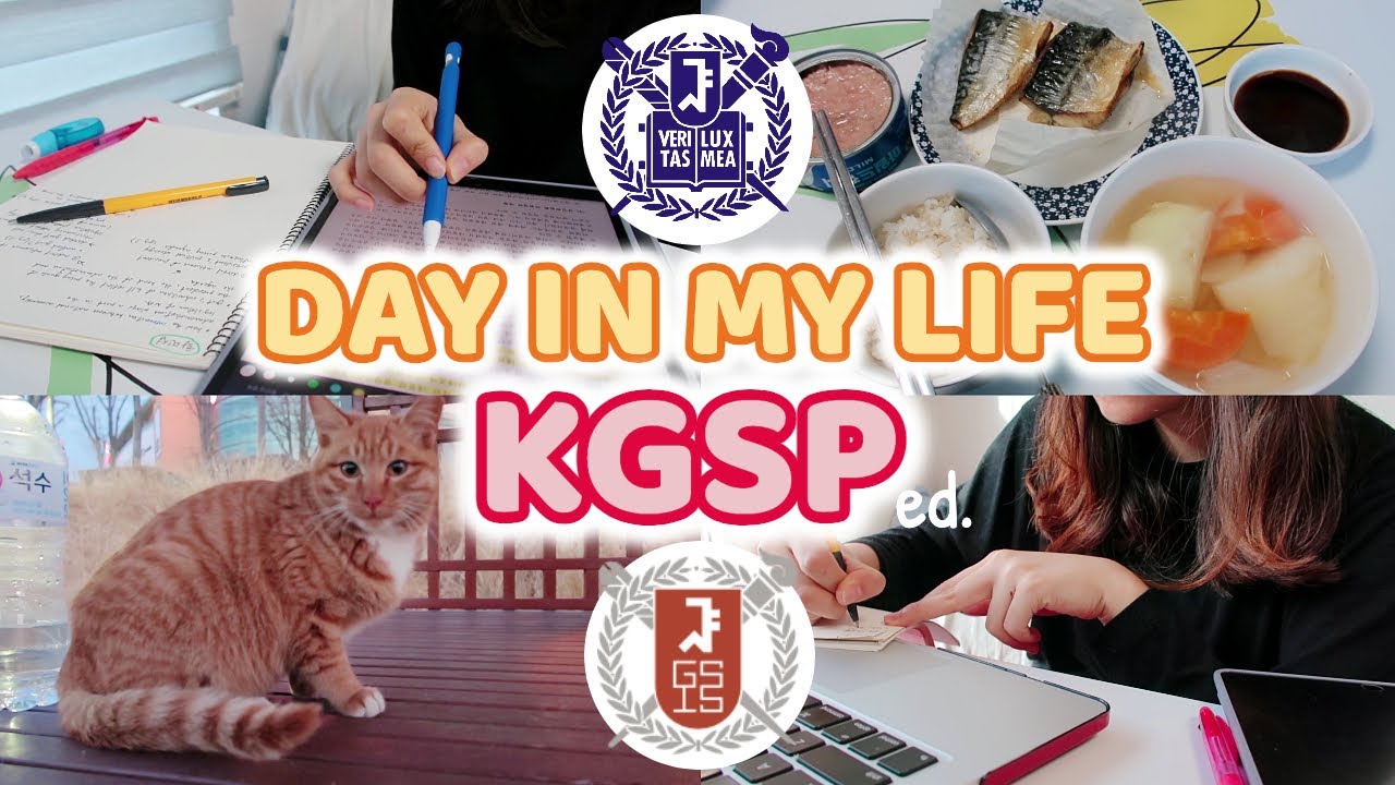 Day in my life as a KGSP student! online lectures + cooking + studying + cats (GKS 2021)