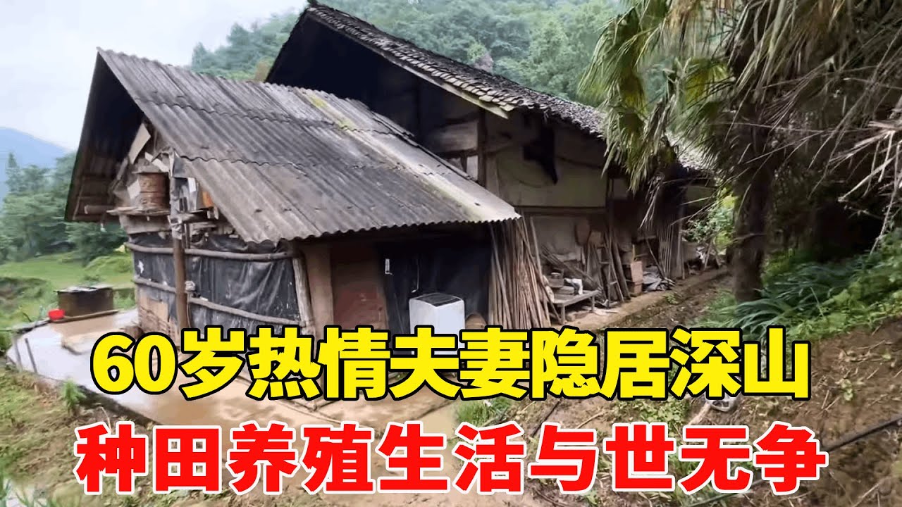 贵州大山里的一独户人家，种田养殖生活与世无争，这里是真正的世外桃源!【乡村阿泰】