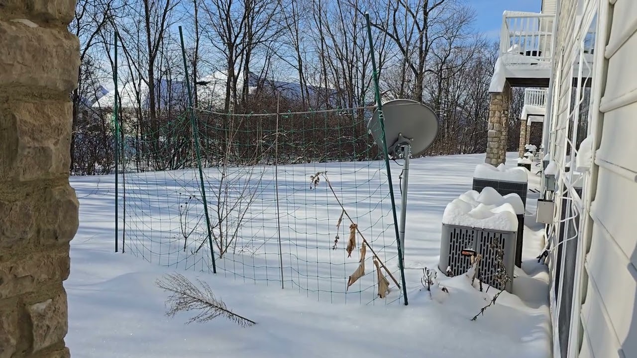 Winter Storm Fern January 2026