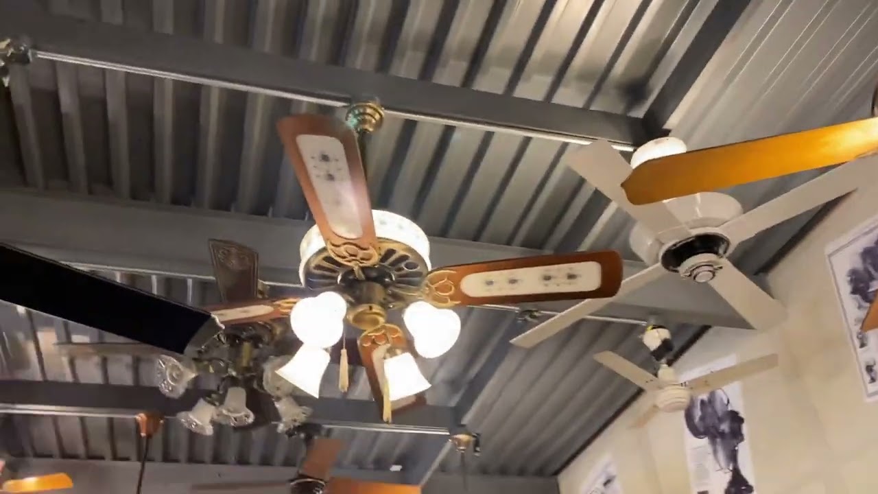 Fanimation museum tour 2023