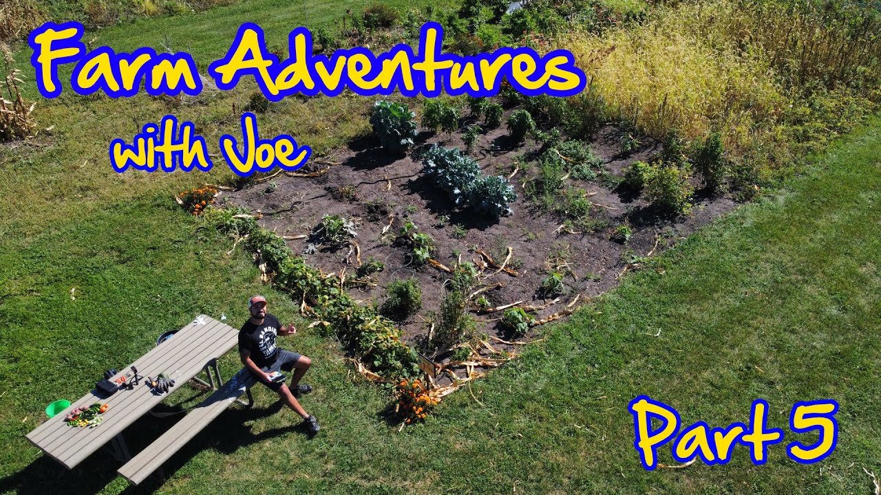 Farm Adventures - Part 5