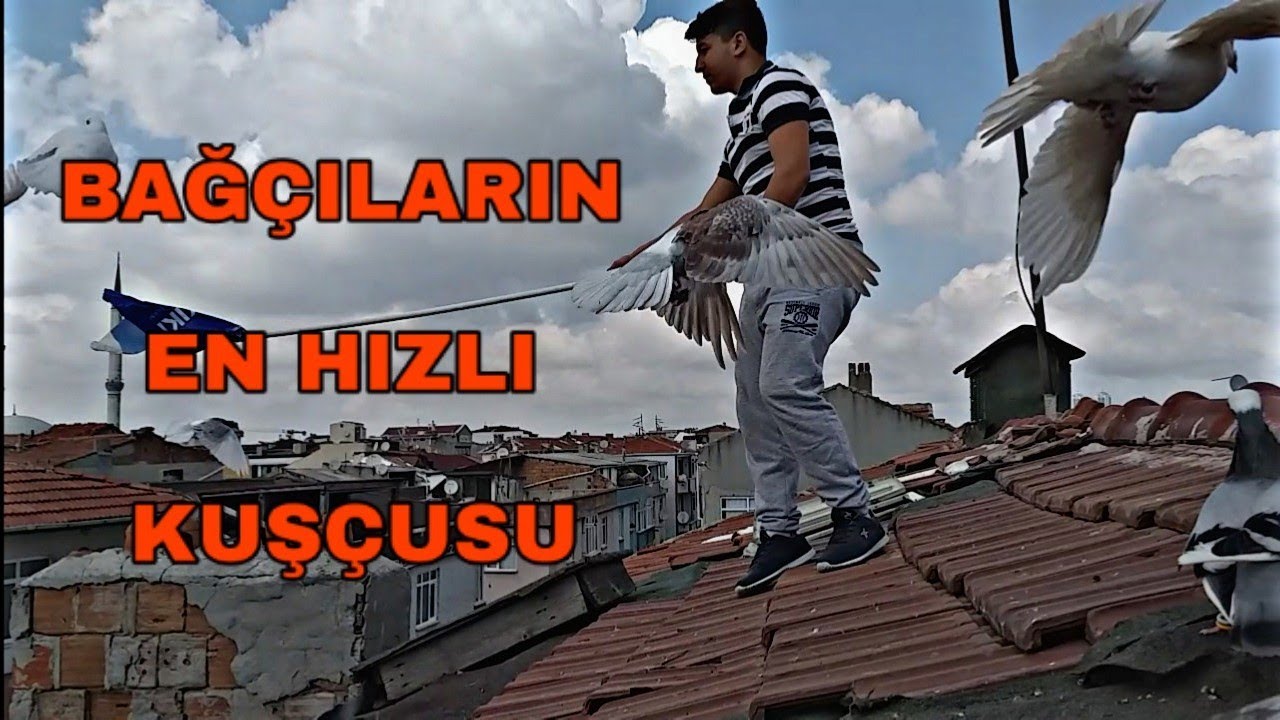 Bağcilarin  hizli kuşçusu gürselin 7 kümeze sahip