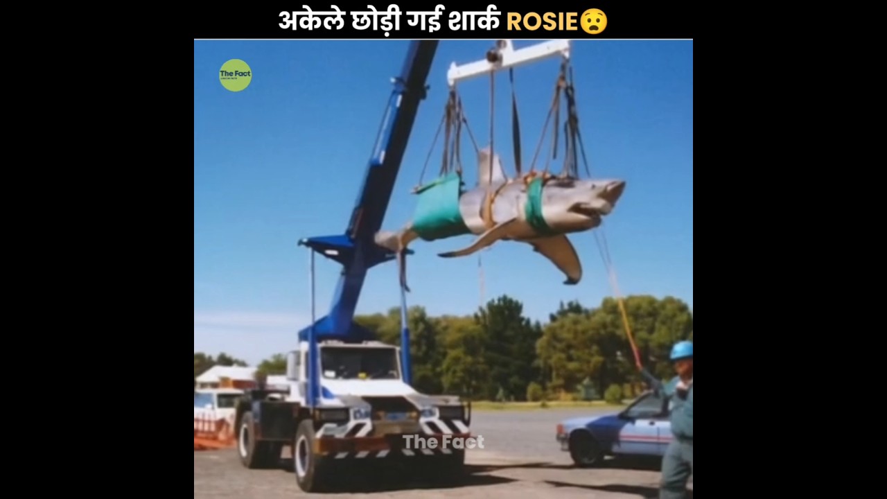 7 Years Alone in a Tank 😰