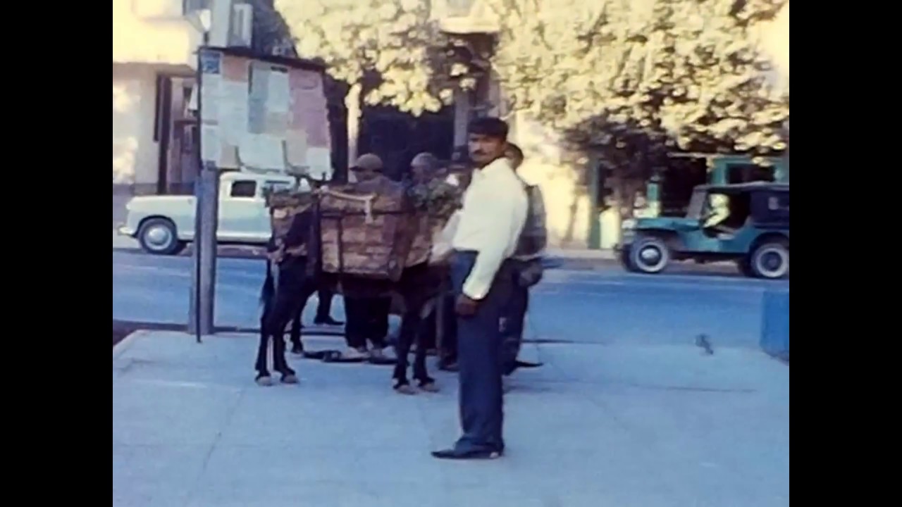 Shiraz Street Scenes from Iran in 1968