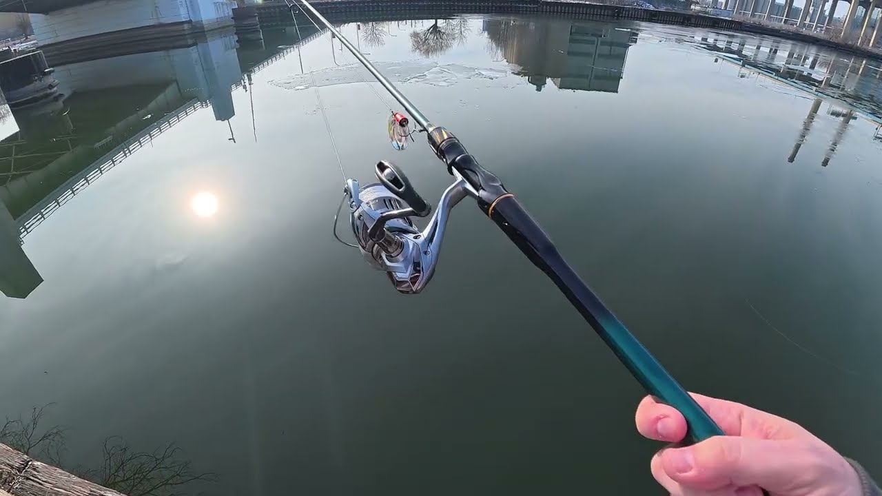 Rod Review : Rollfish Grandmaster 8'8