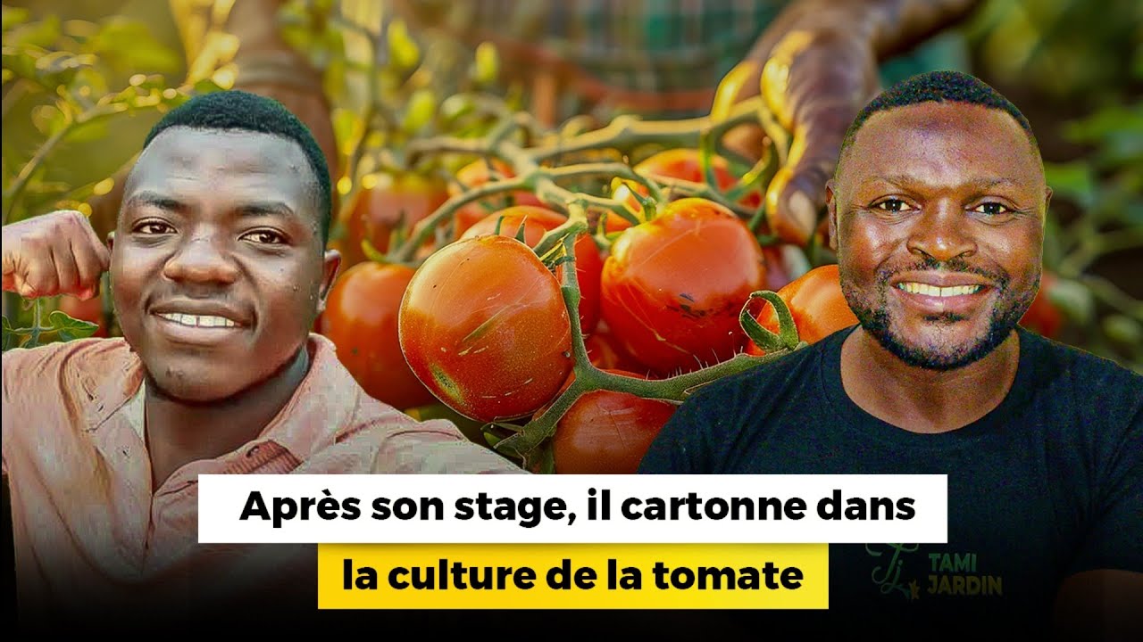 Ce jeune de l'université de Dschang cartonne dans la production de la tomate 🍅