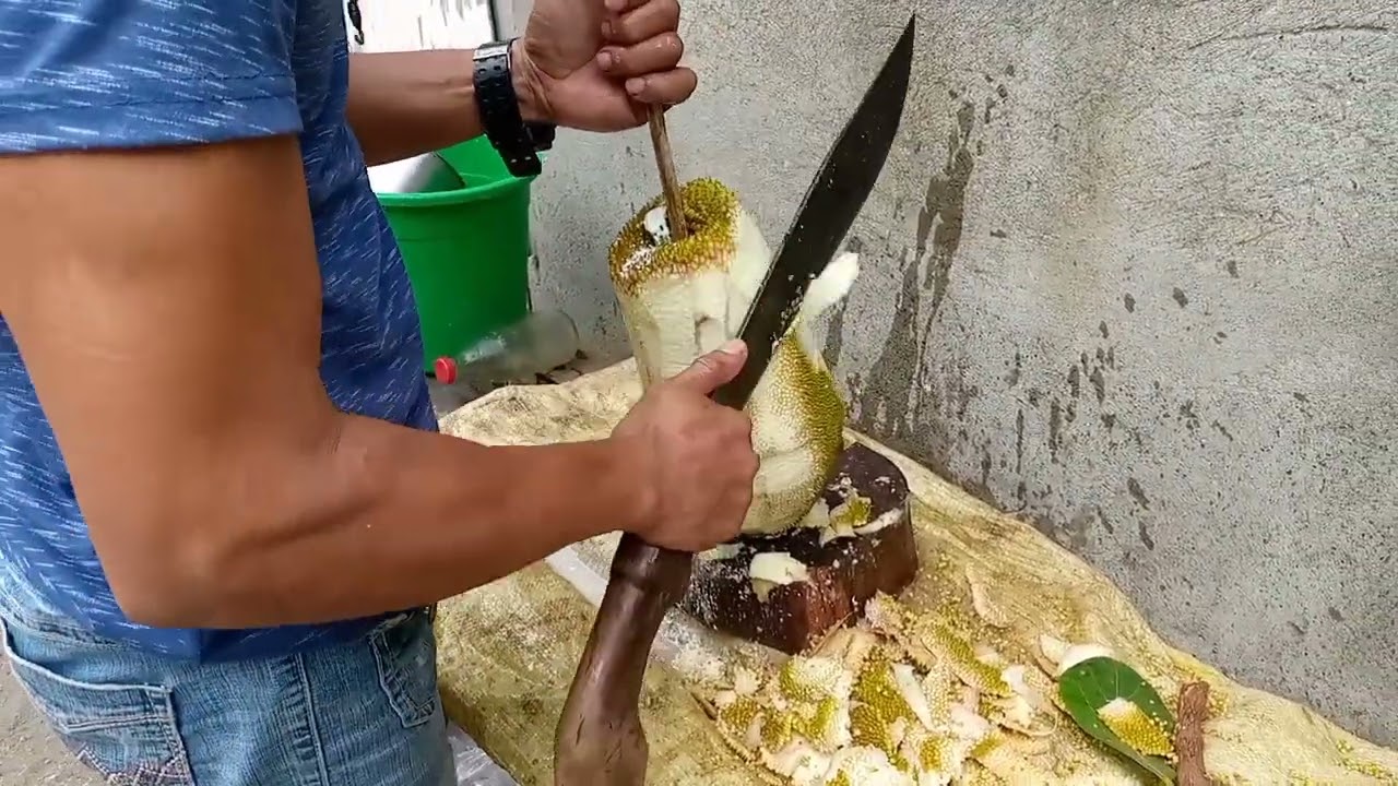 tips paano balatan Ang langka upang Hindi ka madagtaan/jackfruit