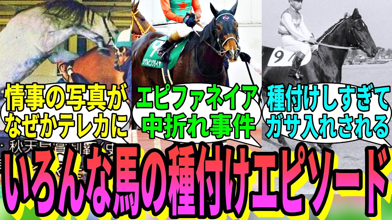【競馬の反応集】「いろんな種牡馬の種付け関連のエピソード」に対する視聴者の反応集