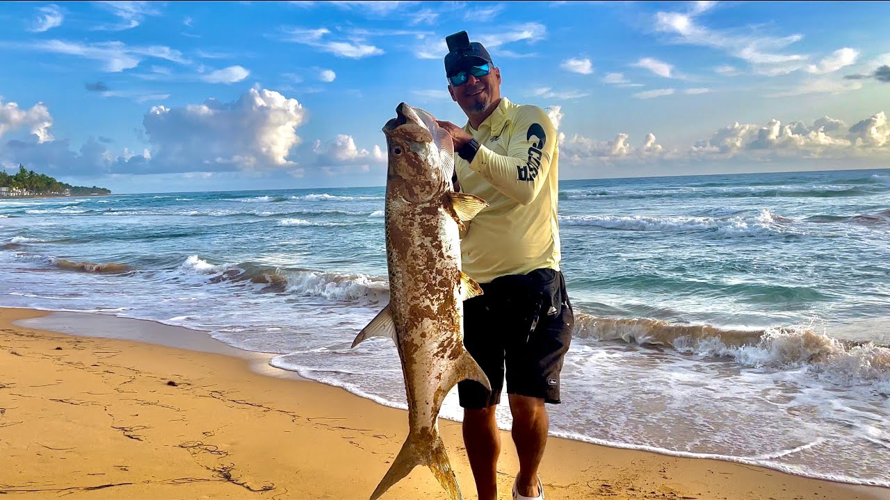 SÁBALOS GIGANTE EN LUQUILLO PUERTO RICO 😳😳🇵🇷🇵🇷