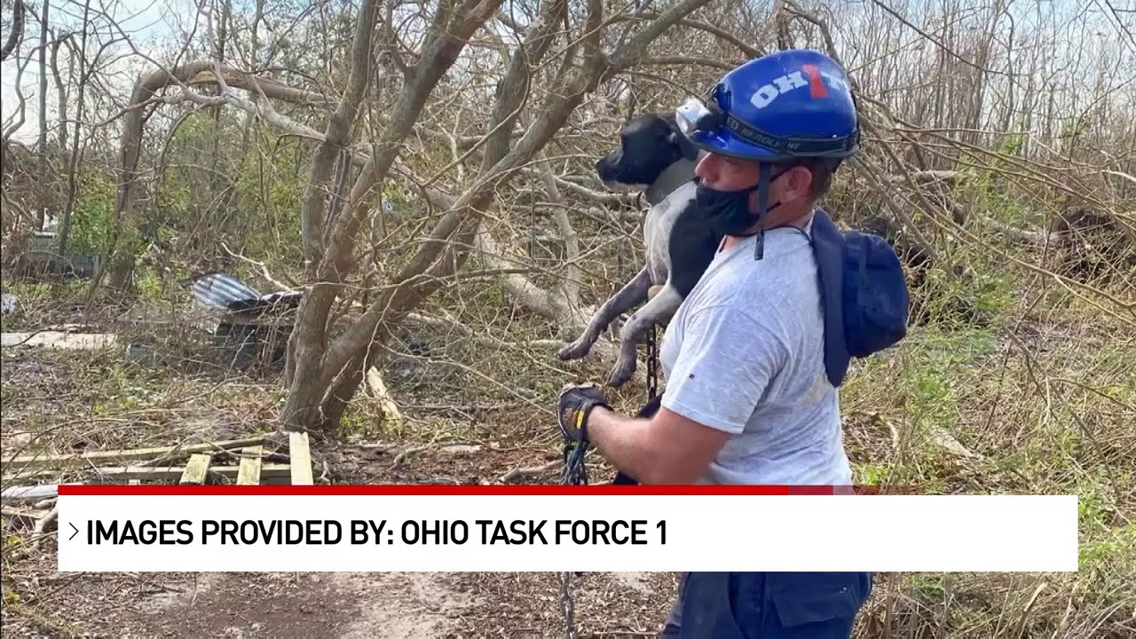 Local volunteers, Ohio Task Force 1 search homes, rescue people & animals after hurricane