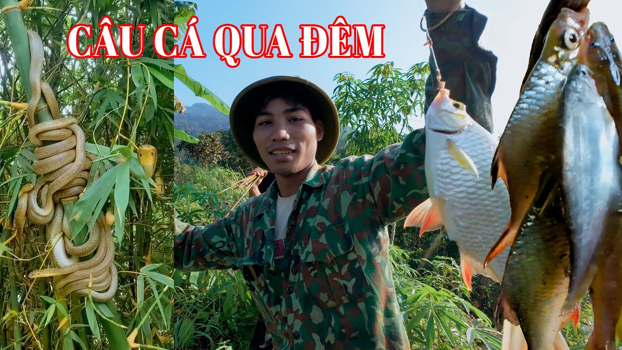 Thử Thách 24h Câu Cá Trên Suối Rừng Lớn Bắt Gặp Con Rắn