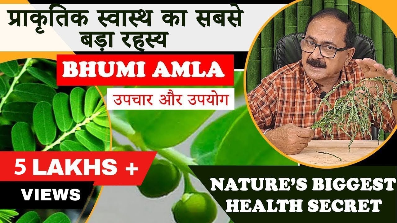 भूमि आंवला / Bhumi Amla : अद्भुत जड़ी-बूटी, अनगिनत बीमारियों के लिए एक औषधि #naturalremedies