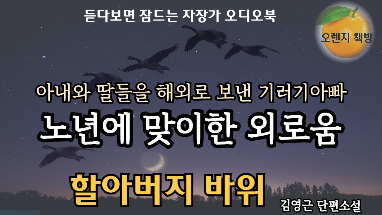 어쩔수없는 사정으로 가족을 해외로 보낸후 맞이하는 노년.. 그 외로움 / 김영근 / 할아버지 바위