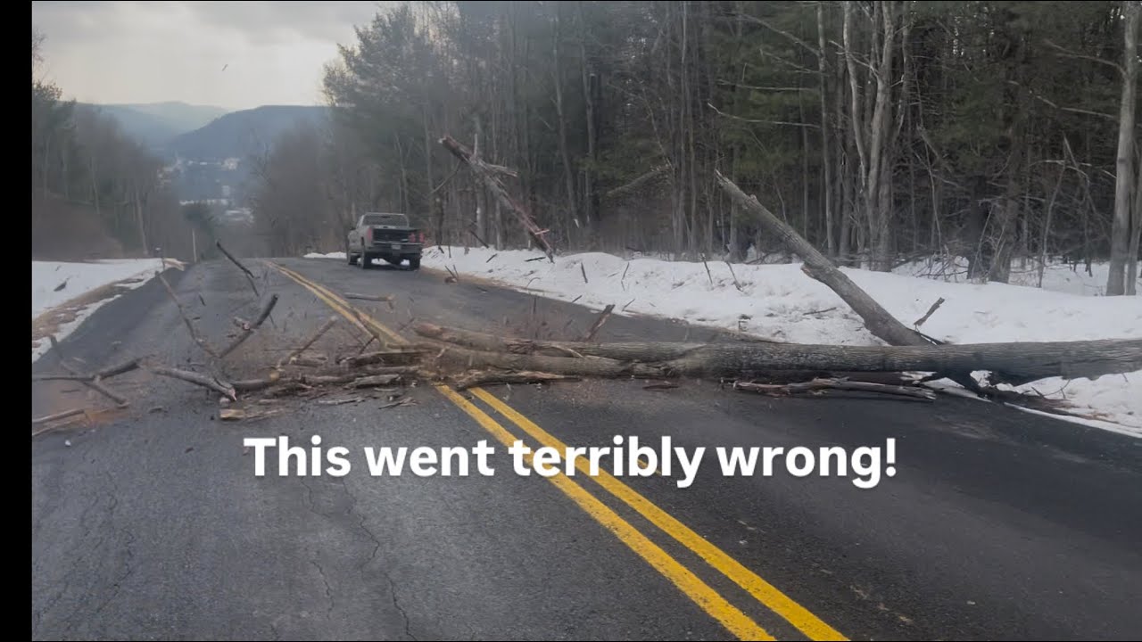 Tree fell goes the wrong way