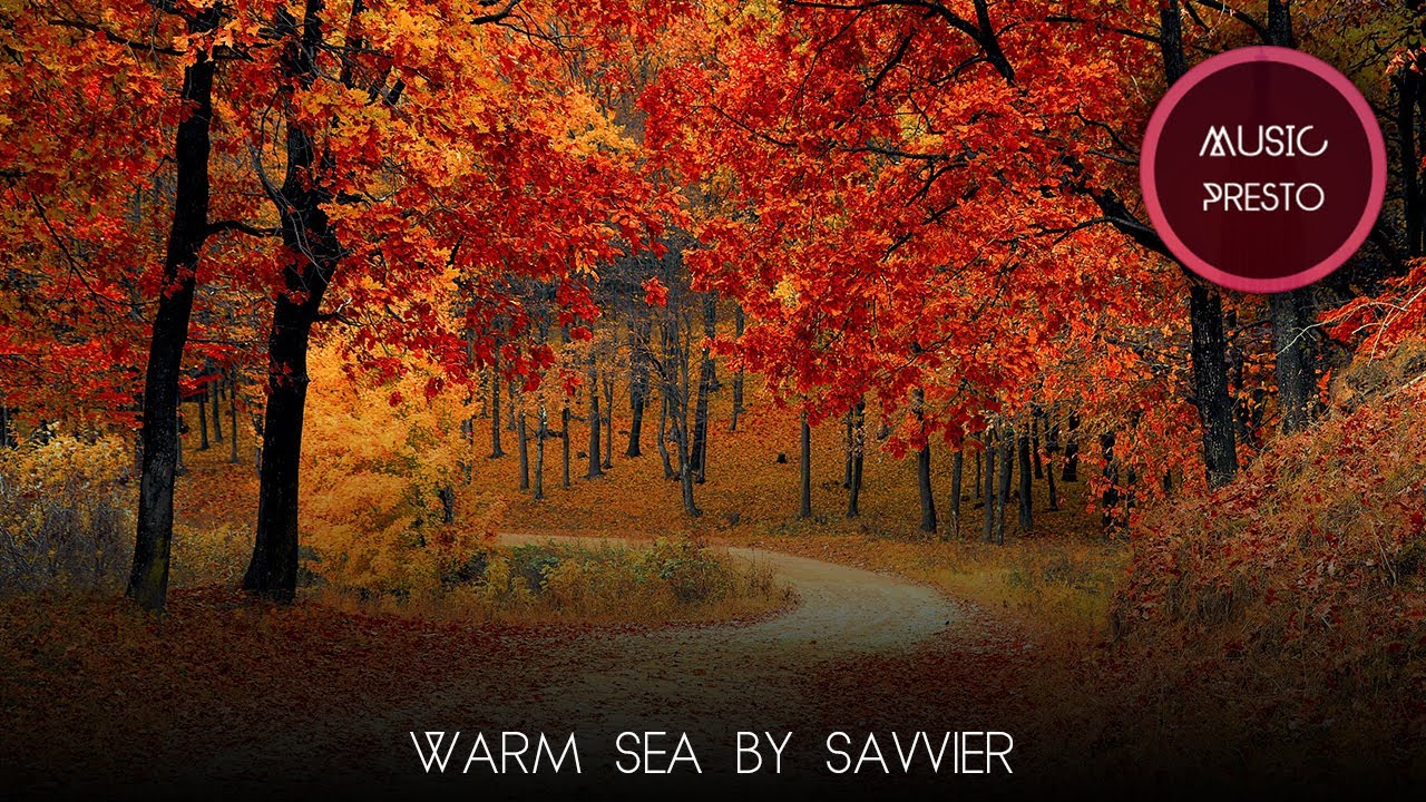 Warm Sea by Savvier | No copyright free to use music |  Best and new background music