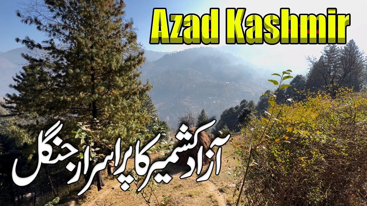 chikar azad kashmir tour was good | chikar azad kashmir trip | the mysterious forest of kashmir