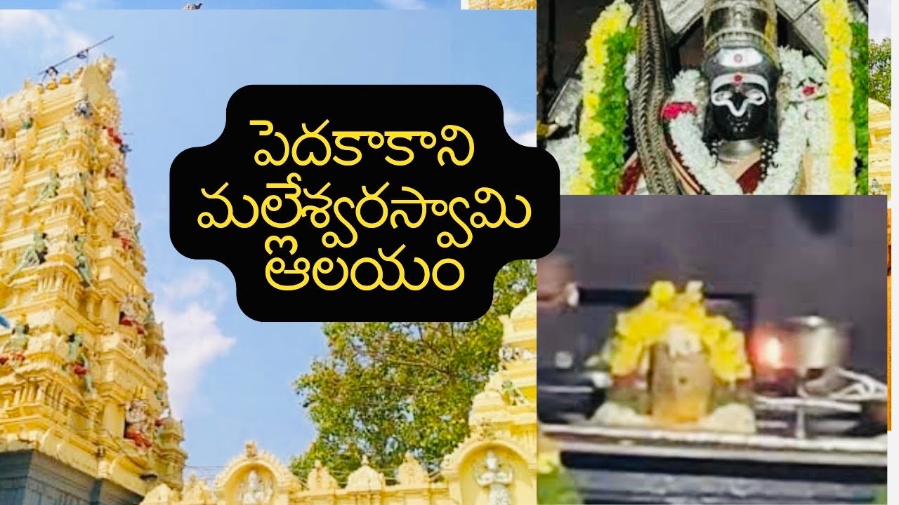 Ancient Shiva Kshetram of Pedakakani 🙏 | Sri Malleswara Swamy Temple | AP 2026