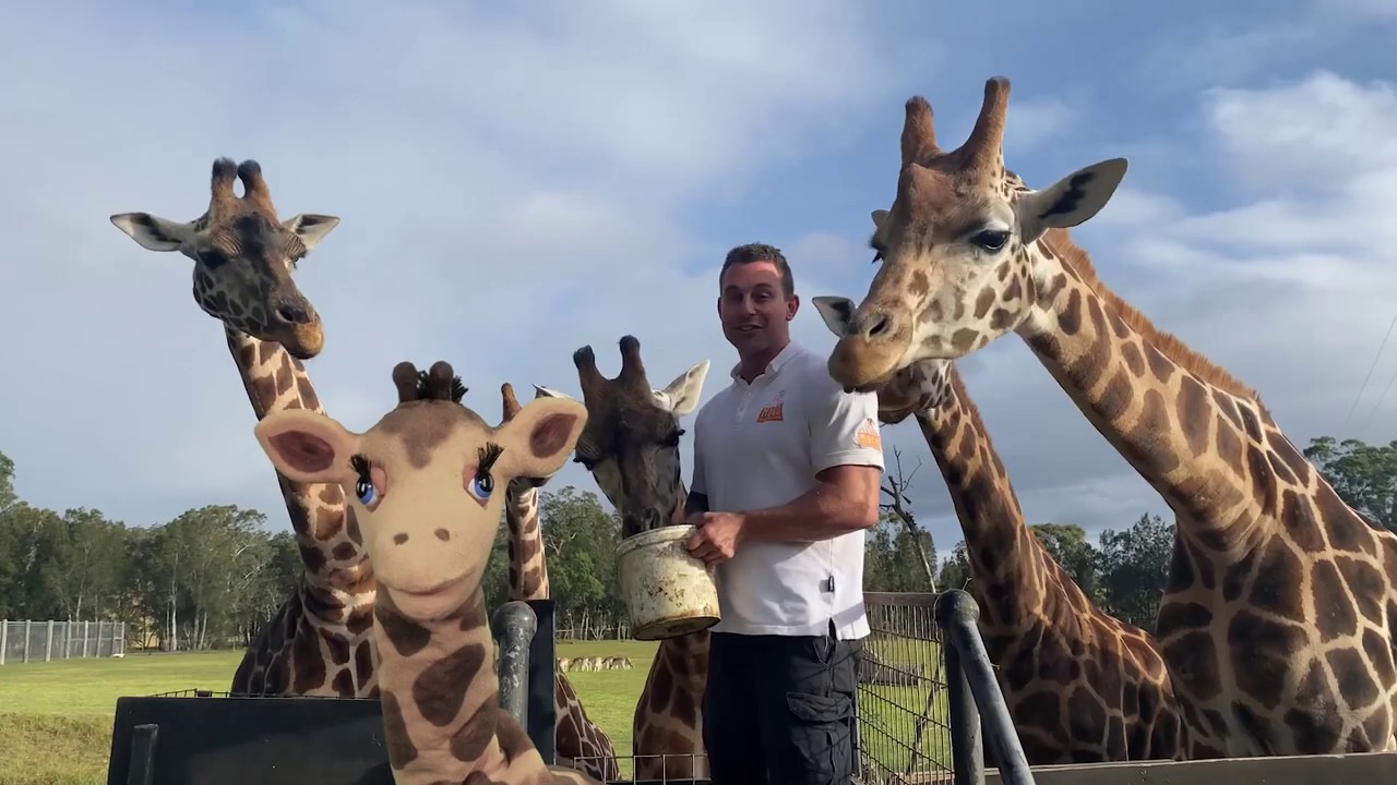 Wildlife Watching with Healthy Harold