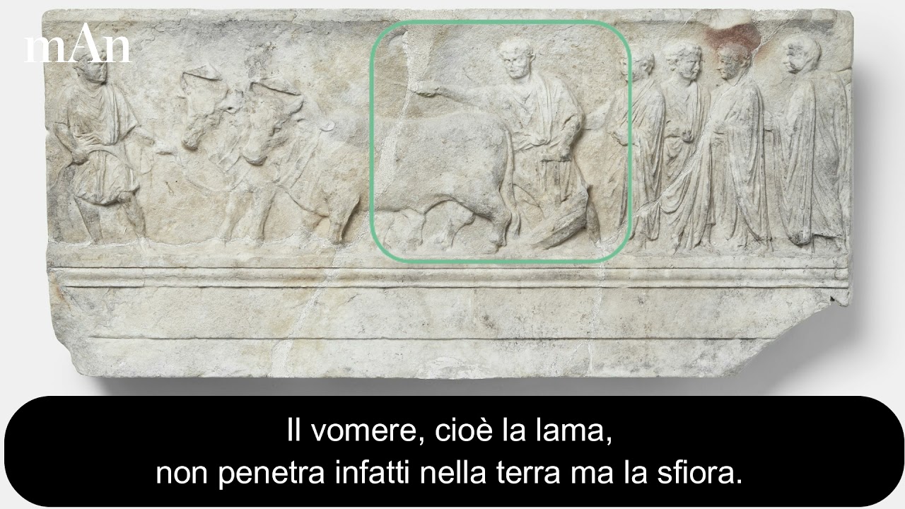 OMNIBUS. Il rilievo del sulcus primigenius