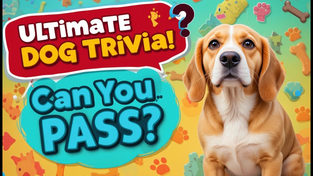 The Ultimate Dog Trivia Quiz | DOG Quiz for Dog Lovers 🐕 🐶 Facts About Dogs 🐾