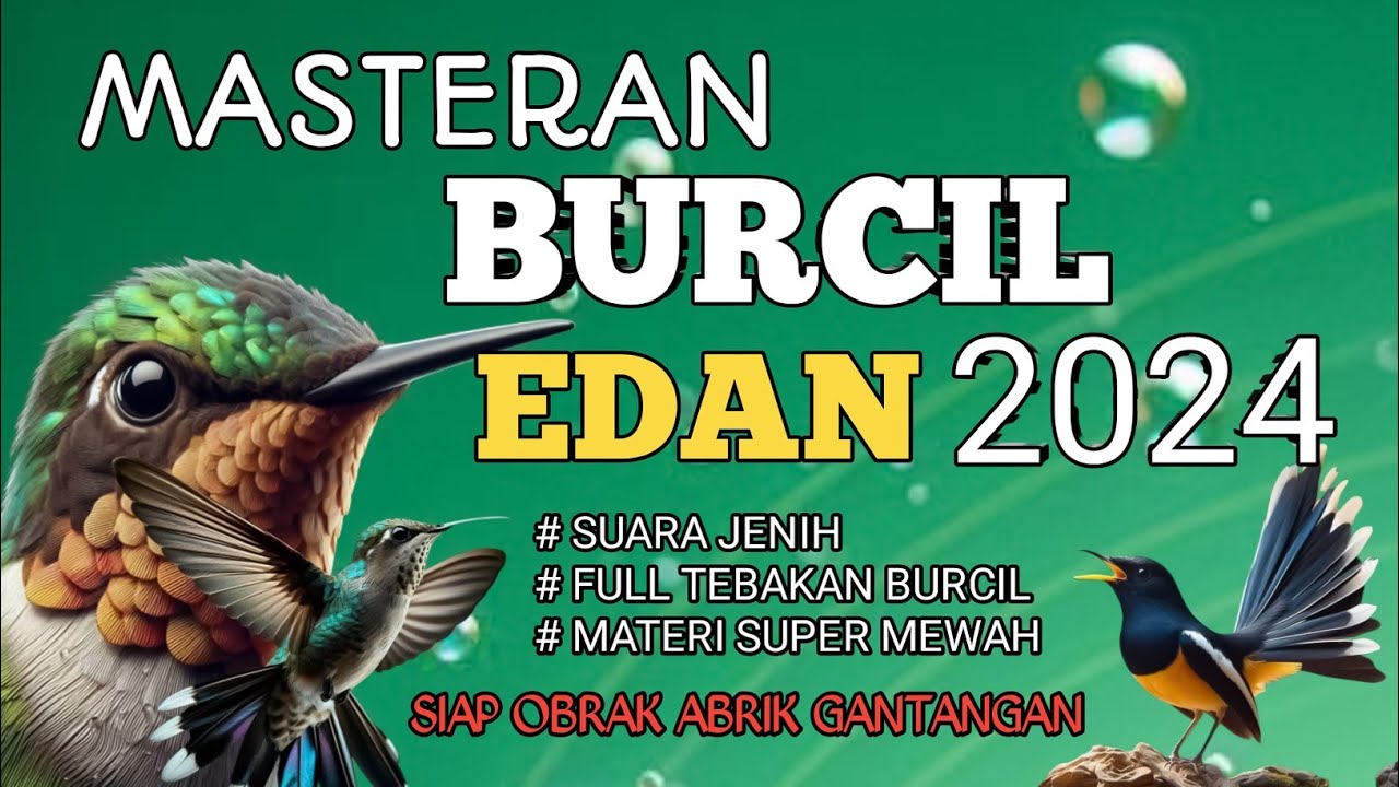 2 jam masteran burcil EDAN 2024 Full tembakan pedas suara jernih siap obrak abrik gantangan
