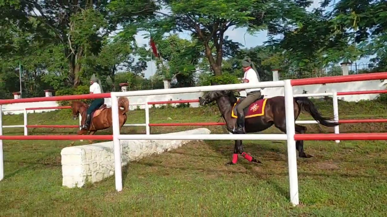 NDA training/equitation training/4rt term long jumping
