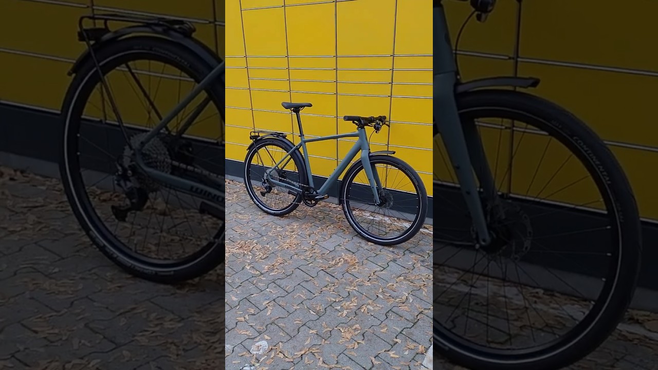 GESTOHLEN Winora E-Flitzer (M) E-Bike Mahle 16,5 kg Citybike Deore 1x10